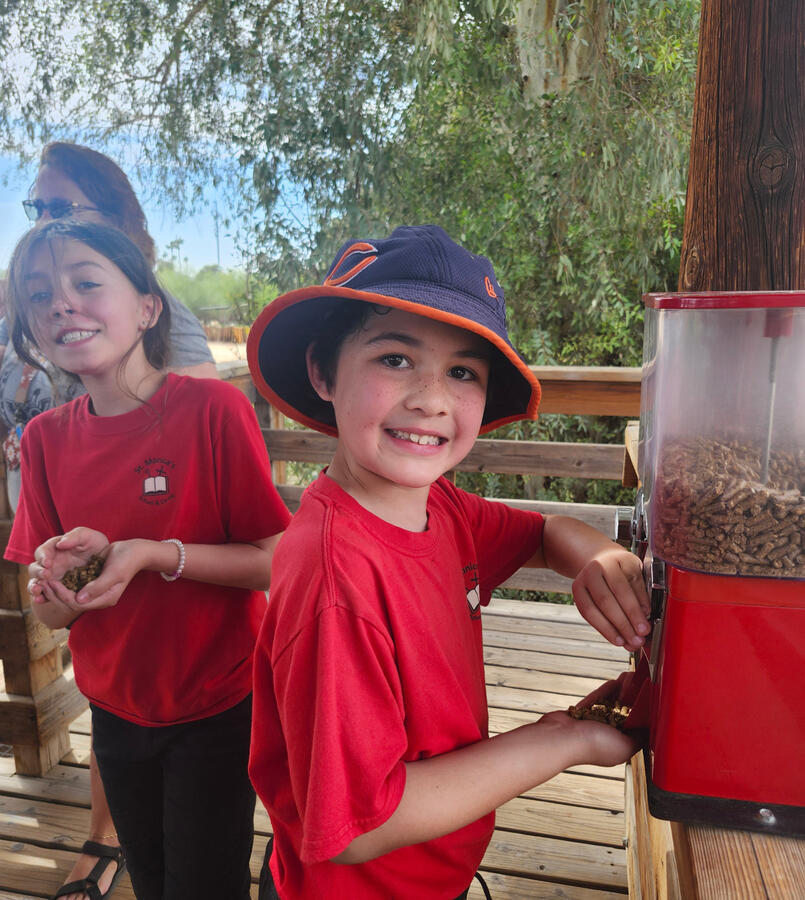 Field Trip at the Zoo
